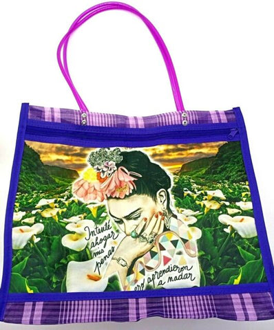 Mexican Eco friendly Mesh Market Shopping Bag